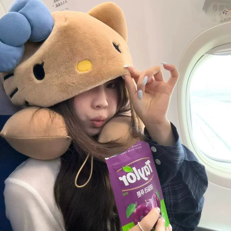 Travel Accessories For Japan - Kawaii hooded U-shaped neck pillow plush