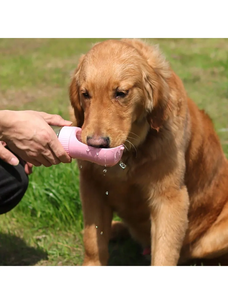 Pet Tumbler, Dog Walking Cup,  - Portable Travel Kettle recension och pris